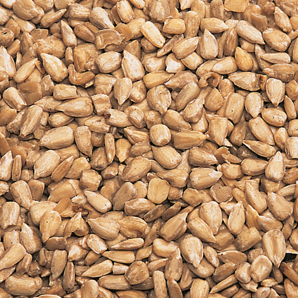 Image for GRAINES DE TOURNESOL