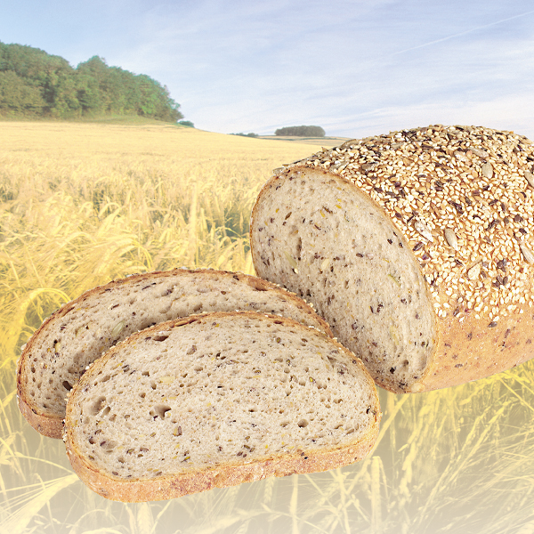 Image for BALLASTRA FIT 50 OS PAIN DE MARQUE