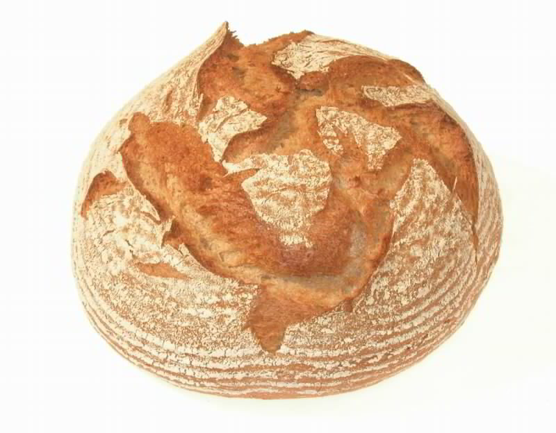 Image for Pain, 800 g avec ALTENBURGER
